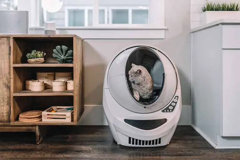 Litière pour chat autonettoyante : Comparatif
