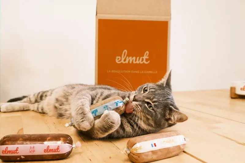 Elmut
