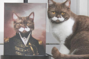 chat en aristocrate